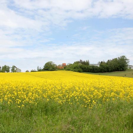 Mit Meerblick Und Balkon, Gratis Nutzung Vom Ahoi Erlebnisbad Und Sauna In Sellin - Meeresblick Fewo 33 ゲーレン エクステリア 写真